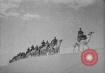 Image Corps de chameau italien en Afrique du Nord, 1940, de la seconde 6 séquences d'archives historiques vidéo 65675043471