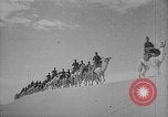 Image Corps de chameau italien en Afrique du Nord, 1940, de la seconde 7 séquences d'archives historiques vidéo 65675043471