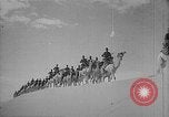 Image Corps de chameau italien en Afrique du Nord, 1940, de la seconde 8 séquences d'archives historiques vidéo 65675043471