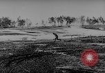 Standbild Die Deutschen kämpfen im Winter gegen die Sowjets Ostfront, 1943, aus Sekunde 36 historischem Filmmaterial Videoclip 65675043484
