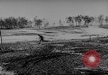 Standbild Die Deutschen kämpfen im Winter gegen die Sowjets Ostfront, 1943, aus Sekunde 37 historischem Filmmaterial Videoclip 65675043484