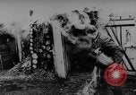 Standbild Die Deutschen kämpfen im Winter gegen die Sowjets Ostfront, 1943, aus Sekunde 46 historischem Filmmaterial Videoclip 65675043484