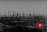 Standbild Die Deutschen kämpfen im Winter gegen die Sowjets Ostfront, 1943, aus Sekunde 57 historischem Filmmaterial Videoclip 65675043484
