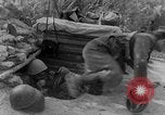 Standbild italienische Truppen Tunesien, 1943, aus Sekunde 12 historischem Filmmaterial Videoclip 65675043485