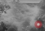 Standbild italienische Truppen Tunesien, 1943, aus Sekunde 24 historischem Filmmaterial Videoclip 65675043485