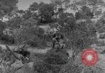 Standbild italienische Truppen Tunesien, 1943, aus Sekunde 41 historischem Filmmaterial Videoclip 65675043485