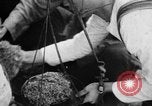 Standbild birmanischen Volkes Birma, 1940, aus Sekunde 52 historischem Filmmaterial Videoclip 65675043487