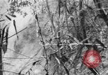 Image of Japanese troops Rangoon Burma, 1940, second 16 stock footage video 65675043489