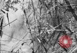 Image of Japanese troops Rangoon Burma, 1940, second 21 stock footage video 65675043489