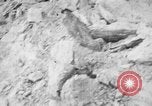 Image of Japanese troops Rangoon Burma, 1940, second 47 stock footage video 65675043489