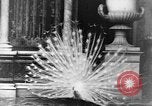 Immagine di I monaci del Tibet India orientale, 1937, secondo 15 filmato di repertorio 65675043491