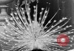 Immagine di I monaci del Tibet India orientale, 1937, secondo 21 filmato di repertorio 65675043491