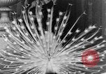 Immagine di I monaci del Tibet India orientale, 1937, secondo 22 filmato di repertorio 65675043491