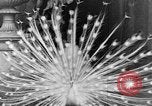 Immagine di I monaci del Tibet India orientale, 1937, secondo 24 filmato di repertorio 65675043491