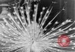Immagine di I monaci del Tibet India orientale, 1937, secondo 26 filmato di repertorio 65675043491