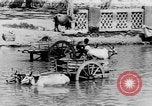 Immagine di Templi India del sud, 1937, secondo 43 filmato di repertorio 65675043492
