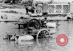 Immagine di Templi India del sud, 1937, secondo 44 filmato di repertorio 65675043492