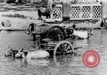Immagine di Templi India del sud, 1937, secondo 45 filmato di repertorio 65675043492
