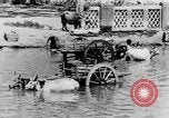 Immagine di Templi India del sud, 1937, secondo 46 filmato di repertorio 65675043492