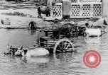 Immagine di Templi India del sud, 1937, secondo 47 filmato di repertorio 65675043492