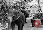 Immagine di I nativi in città Ceylon, 1937, secondo 8 filmato di repertorio 65675043493