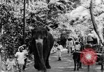 Immagine di I nativi in città Ceylon, 1937, secondo 13 filmato di repertorio 65675043493
