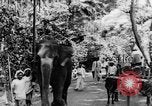 Immagine di I nativi in città Ceylon, 1937, secondo 14 filmato di repertorio 65675043493