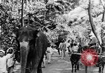 Immagine di I nativi in città Ceylon, 1937, secondo 15 filmato di repertorio 65675043493