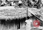 Immagine di I nativi in città Ceylon, 1937, secondo 20 filmato di repertorio 65675043493