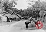 Immagine di I nativi in città Ceylon, 1937, secondo 41 filmato di repertorio 65675043493