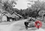 Immagine di I nativi in città Ceylon, 1937, secondo 42 filmato di repertorio 65675043493