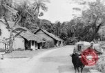 Immagine di I nativi in città Ceylon, 1937, secondo 44 filmato di repertorio 65675043493