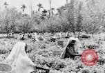Immagine di I nativi in città Ceylon, 1937, secondo 54 filmato di repertorio 65675043493