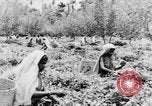 Immagine di I nativi in città Ceylon, 1937, secondo 56 filmato di repertorio 65675043493