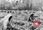 Immagine di I nativi in città Ceylon, 1937, secondo 58 filmato di repertorio 65675043493