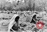 Immagine di I nativi in città Ceylon, 1937, secondo 59 filmato di repertorio 65675043493