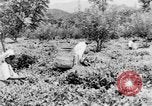 Immagine di I nativi in città Ceylon, 1937, secondo 60 filmato di repertorio 65675043493