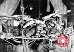 Image des Temples Penang en Malaisie, 1937, de la seconde 30 séquences d'archives historiques vidéo 65675043494