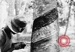 Image of natives in city Singapore, 1937, second 60 stock footage video 65675043495
