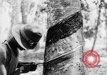 Image of natives in city Singapore, 1937, second 61 stock footage video 65675043495