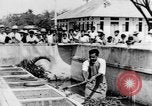 Image of Everyday life in Asian city Bangkok Thailand, 1937, second 40 stock footage video 65675043496