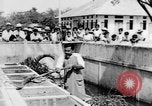 Image of Everyday life in Asian city Bangkok Thailand, 1937, second 44 stock footage video 65675043496