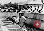 Image of Everyday life in Asian city Bangkok Thailand, 1937, second 45 stock footage video 65675043496