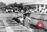 Image of Everyday life in Asian city Bangkok Thailand, 1937, second 46 stock footage video 65675043496