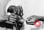 Image of Everyday life in Asian city Bangkok Thailand, 1937, second 48 stock footage video 65675043496
