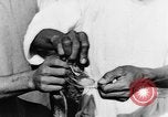 Image of Everyday life in Asian city Bangkok Thailand, 1937, second 49 stock footage video 65675043496