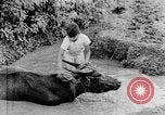 Standbild Wunder der Welt Java Indonesien, 1937, aus Sekunde 44 historischem Filmmaterial Videoclip 65675043499