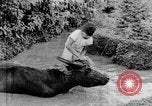 Standbild Wunder der Welt Java Indonesien, 1937, aus Sekunde 46 historischem Filmmaterial Videoclip 65675043499