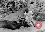Standbild Wunder der Welt Java Indonesien, 1937, aus Sekunde 48 historischem Filmmaterial Videoclip 65675043499
