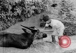 Standbild Wunder der Welt Java Indonesien, 1937, aus Sekunde 49 historischem Filmmaterial Videoclip 65675043499